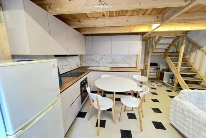 Tirane, jepet me qera apartament 1+1+Ballkon Kati 1, 70 m² 670 € (selvia)