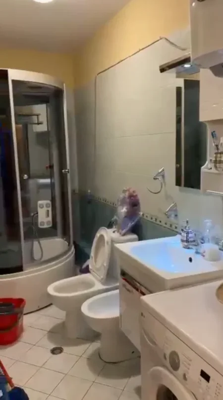 Tirane, jepet me qera apartament 2+1 Kati 4, 98 m² 500 € (Kompleksi Malajzian ,Ktheza e Kamzes)