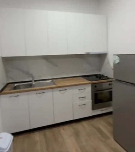 Tirane, jepet me qera Vile 1+1 Kati 4, 65 m² (Mbrapa Qendres Globe, Rruga Kavajes)