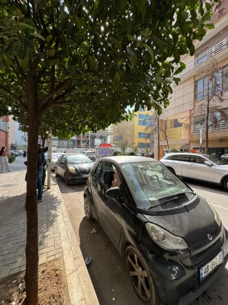 Tirane, jepet me qera dyqan Kati 0, 75 m² 1.800 € (RRUGA URANI PANO)