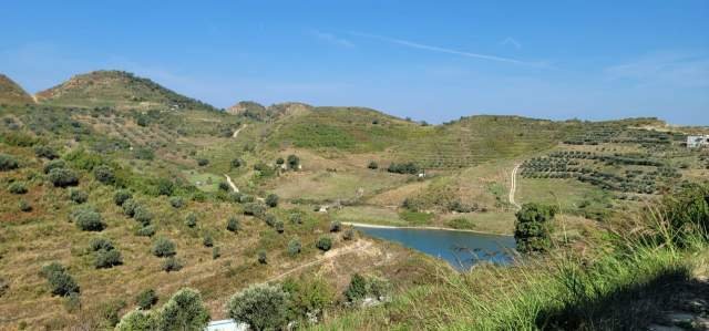 Durres, shes toke bujqesore 15.000 m² 35 Euro/m2 (Kodrat e Spitalles)