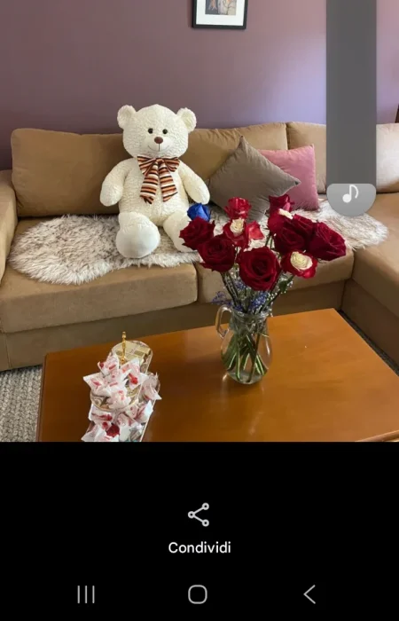 Tirane, jap me qera apartament 1+1+Ballkon Kati 2,