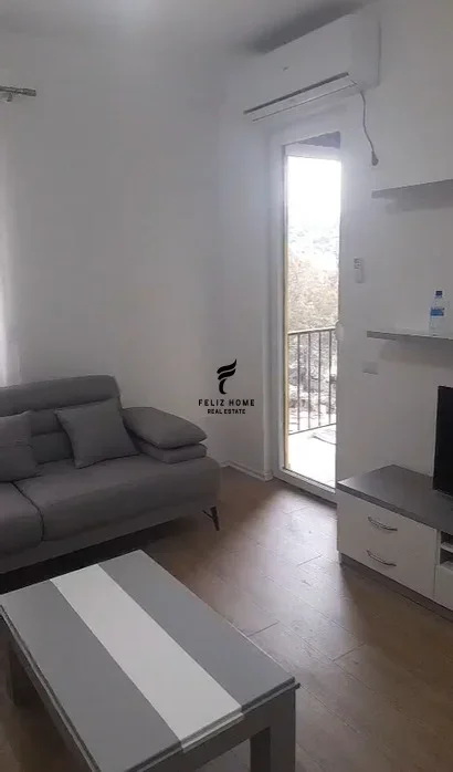 Tirane, jepet me qera apartament 1+1 Kati 2, 65 m² 470 € (YZBERISHT)