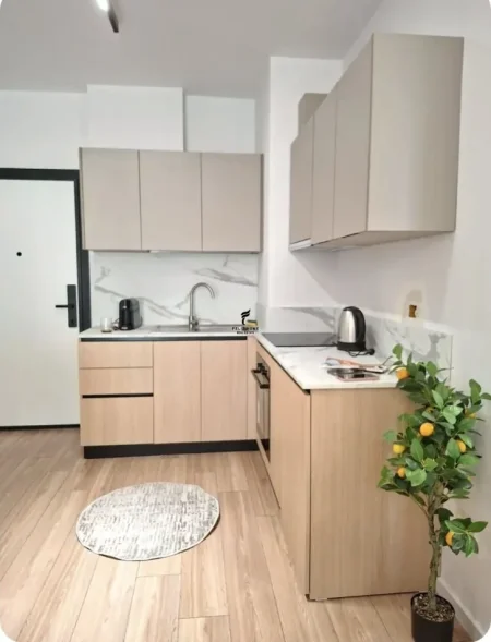 Tirane, jepet me qera apartament 1+1 Kati 3, 70 m² 900 € (MINE PEZA)