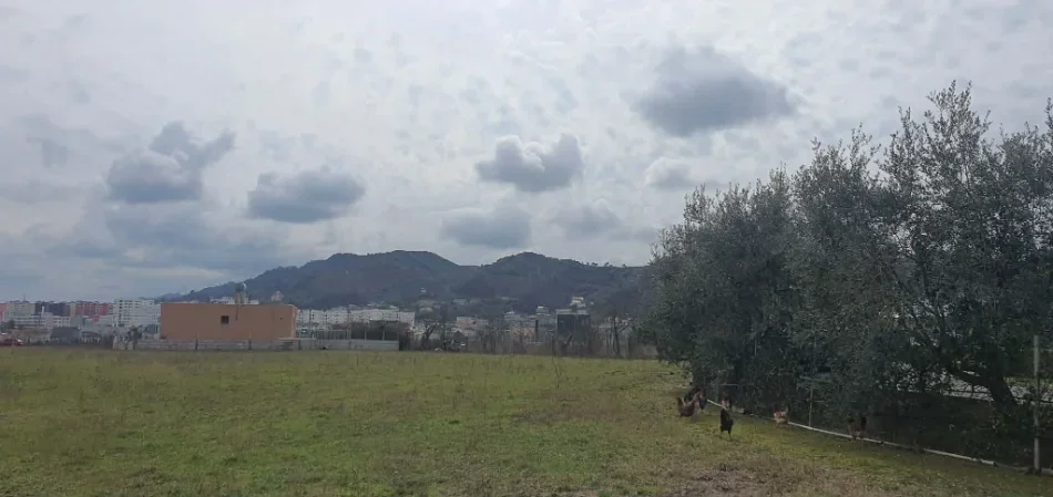 Tirane, shitet truall , 10.000 m² (Vore)