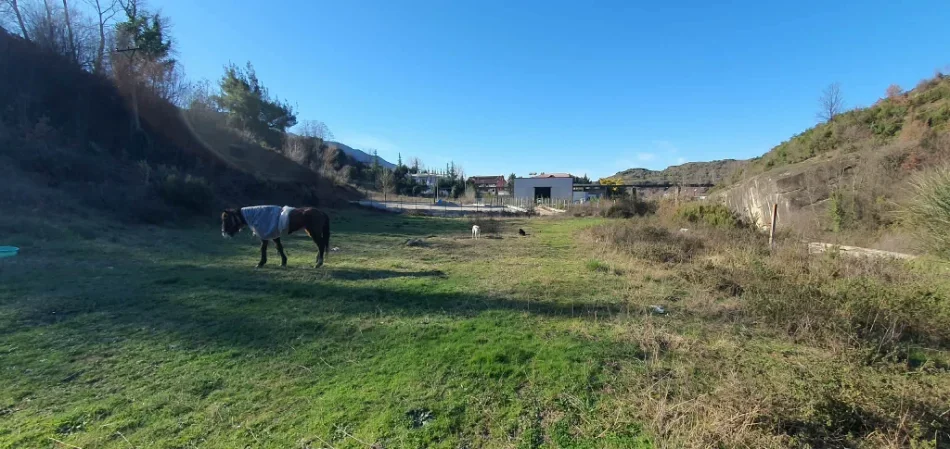 Tirane, shitet truall , 2.523 m² (ibe e poshtme)