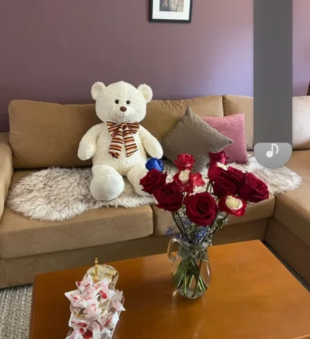 Tirane, jepet me qera apartament 1+1+Ballkon Kati 2, 70 m² 650 € (Stadiumi Air Albania /Rr.Dervish Hima)