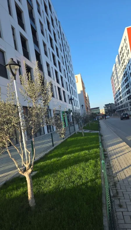 Tirane, jepet me qera dyqan Kati 0, 250 m² 3.300 € (RRUGA FILIP JANO)