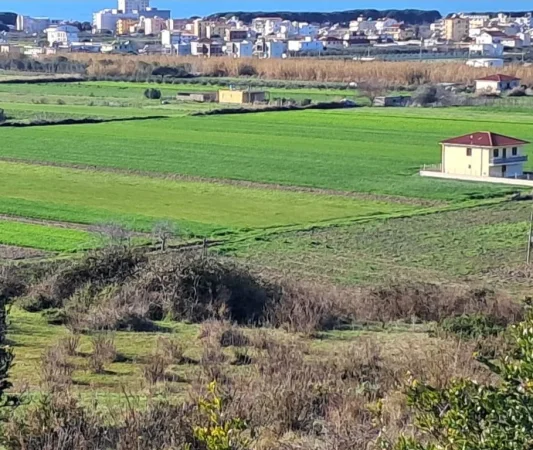 Spille, shitet toke ne bregdet , 6.000 m² 200.000 € (Spille)