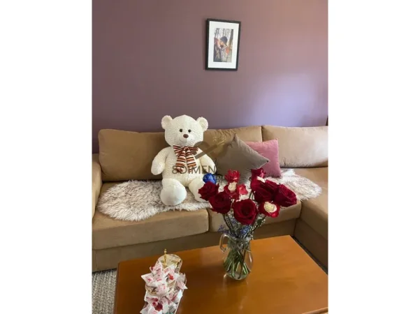 Tirane, jepet me qera apartament 1+1 Kati 2, 70 m² 600 € (Stadiumi Air Albania)