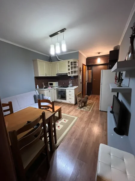 Tirane, jepet me qera nga Pronari, pa-komision garsonier 1+1 Kati 1, 38 m² 450 € (Shkolla e mesme e gjuheve te huaja)