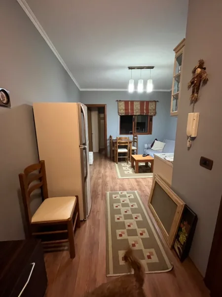 Tirane, jepet me qera nga Pronari, pa-komision garsonier 1+1 Kati 1, 38 m² 450 € (Shkolla e mesme e gjuheve te huaja)