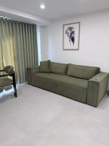 Tirane, jepet me qera nga Pronari, pa-komision apartament Kati 0, 25 m² 350 € 