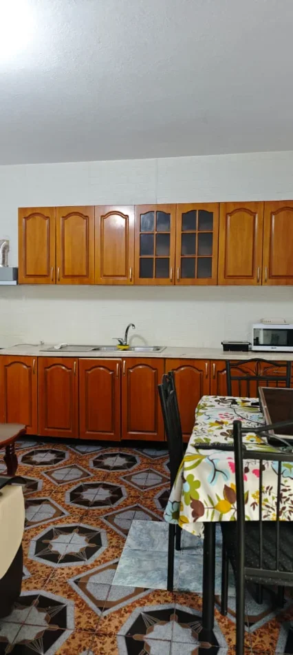 Tirane, jepet me qera apartament 2+1 Kati 1, 100 m² 380 € (RRUGA ALI VISHA)