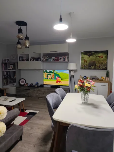 Tirane, jepet me qera apartament 1+1 Kati 5, 55 m² 500 € (Zonja Curre)