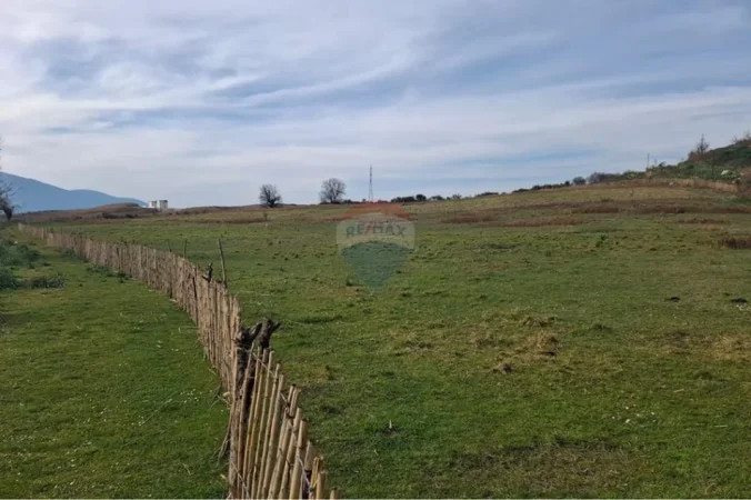 Radhime - Orikum, shitet toke bujqesore , 14.000 m² (Tragjas, Vlore)