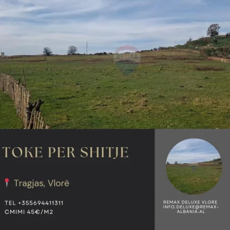 Radhime - Orikum, shitet toke bujqesore , 12.000 m² (Tragjas, Vlore)