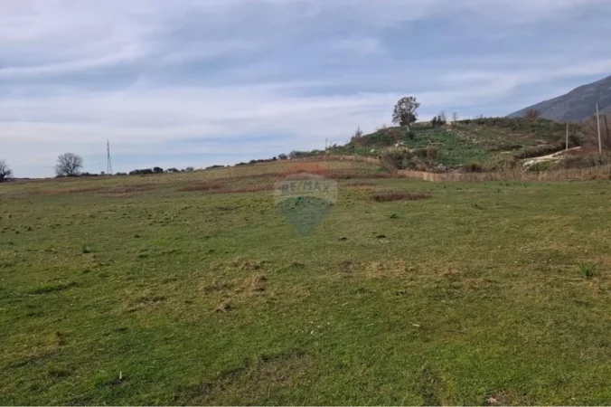 Radhime - Orikum, shitet toke bujqesore , 12.000 m² (Tragjas, Vlore)