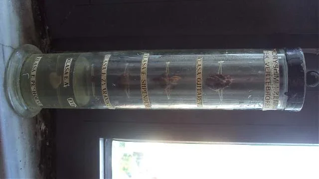 Tiranë, shes objekte mësimore të veçanta për universitete dhe shkolla Euro