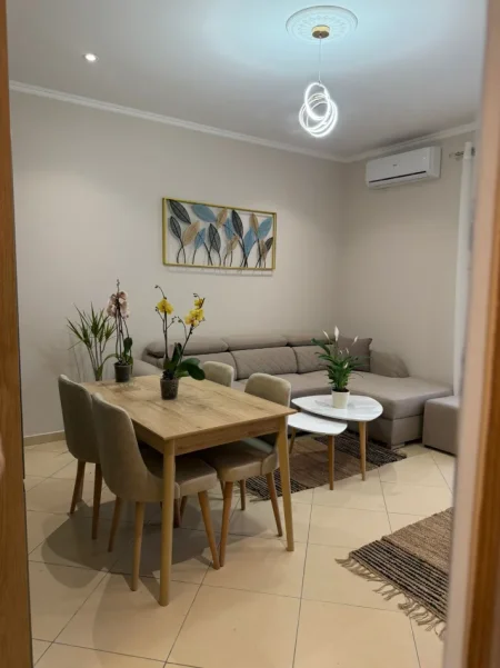 Tirane, jepet me qera apartament 1+1 , 60 m² 650 € (Rruga e Kavajës)