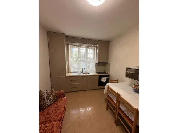 Tirane, jepet me qera apartament 1+1+Ballkon Kati 1, 58 m² 500 € (Vasil Shanto)