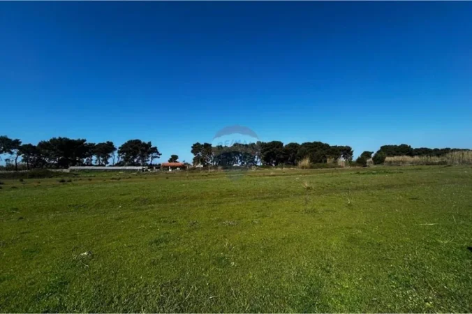 Vlore, shitet toke bujqesore , 6.500 m² (Akerni, Vlore)