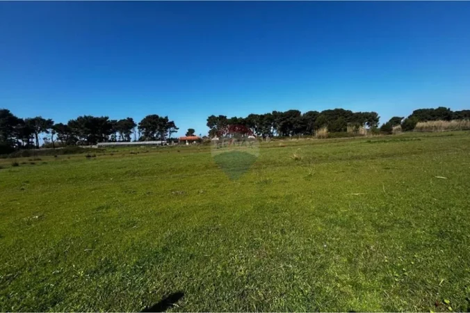 Vlore, shitet toke bujqesore , 6.500 m² (Akerni, Vlore)