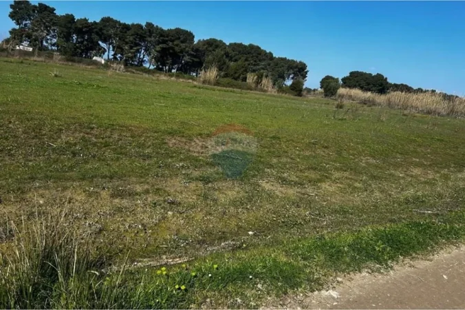 Vlore, shitet toke bujqesore , 6.500 m² (Akerni, Vlore)