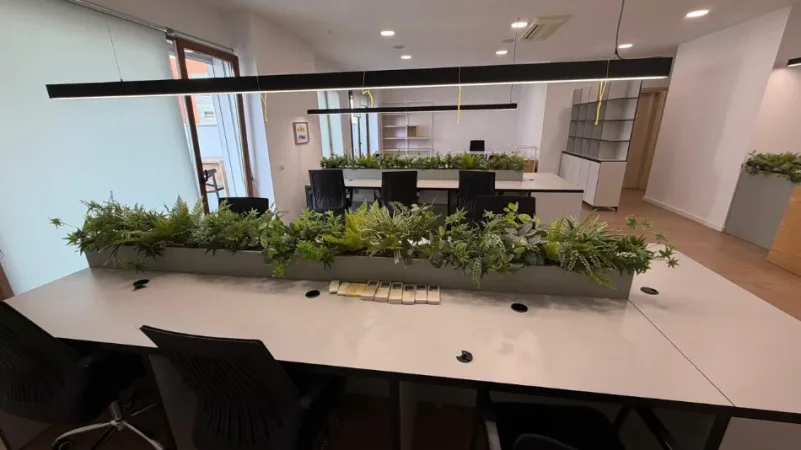 Tirane, jepet me qera zyre , 190 m² 2.500 € (delijorgji)