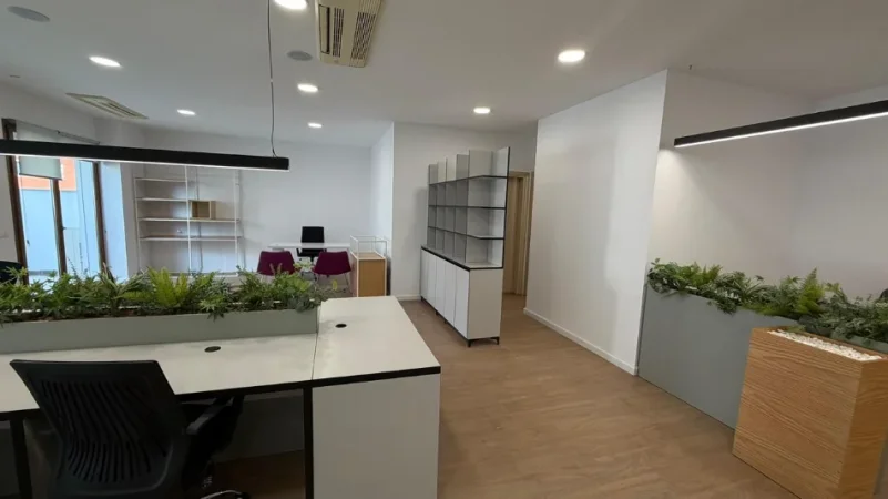 Tirane, jepet me qera zyre , 190 m² 2.500 € (delijorgji)