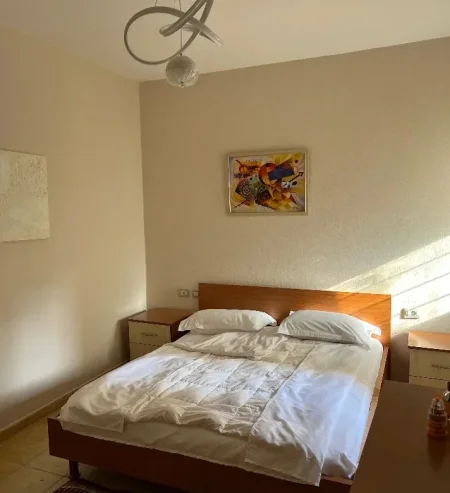 Tirane, jepet me qera apartament 1+1 Kati 1, 65 m² 600 € (Rruga Mine Peza)