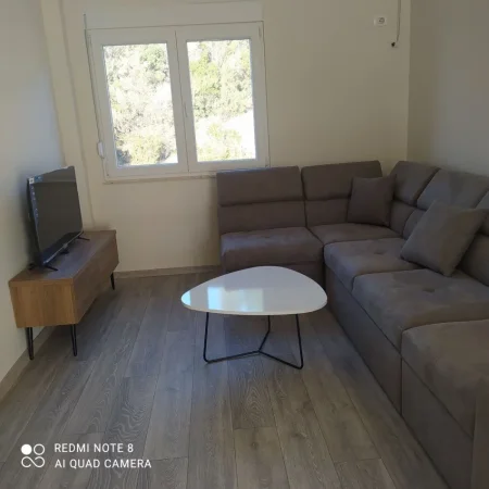 Tirane, jap me qera apartament 1+1 Kati 2, 54 m² 350 € (Rruga aleks caci-TIRANA)