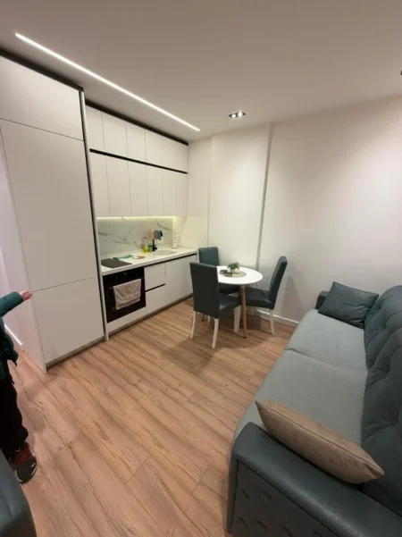 Tirane, jepet me qera apartament 1+1 , 650 € (delijorgji)