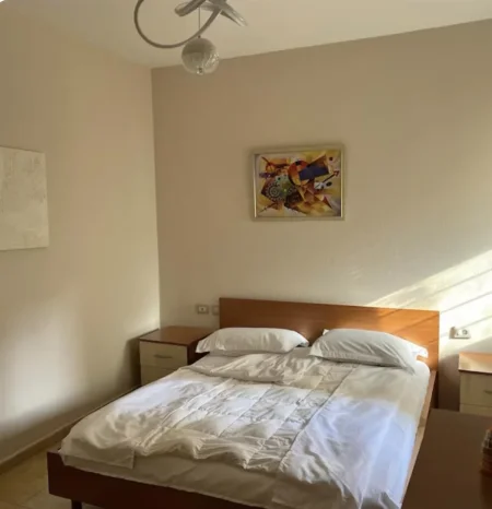 Tirane, jepet me qera apartament 1+1+Aneks Kati 1, 60 m², 60 000 Leke (Rruga Mine Peza)