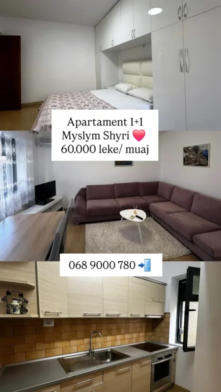 Tirane, jepet me qera apartament 1+1 Kati 2, 600 € (Myslym shyri)