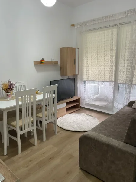Tirane, jepet me qera apartament 1+1 Kati 1, 50 m² 400 € (Rruga Pasho Hysa)