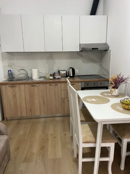 Tirane, jepet me qera apartament 1+1 Kati 1, 50 m² 400 € (Rruga Pasho Hysa)