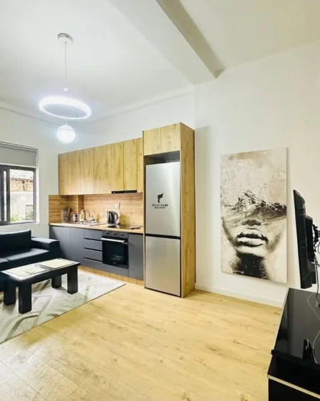 Tirane, jepet me qera apartament 1+1 Kati 1, 60 m² 600 € (QENDER)