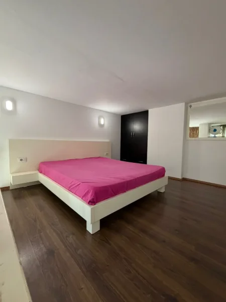 Tirane, jepet me qera apartament duplex 1+1 Kati 0, 40 m² 250 € (Rruga Tom Plezha)