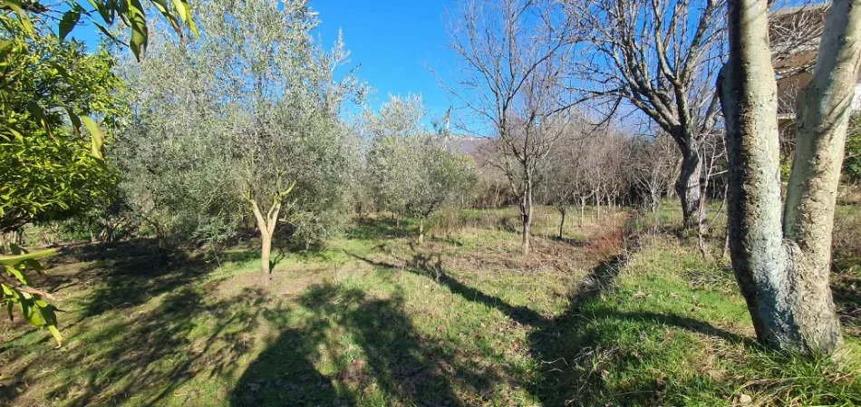Tirane, shitet nga Pronari, pa-komision shtepi 3 Katshe Kati 3, 2.000 m² 390.000 € (ibe e poshtme)