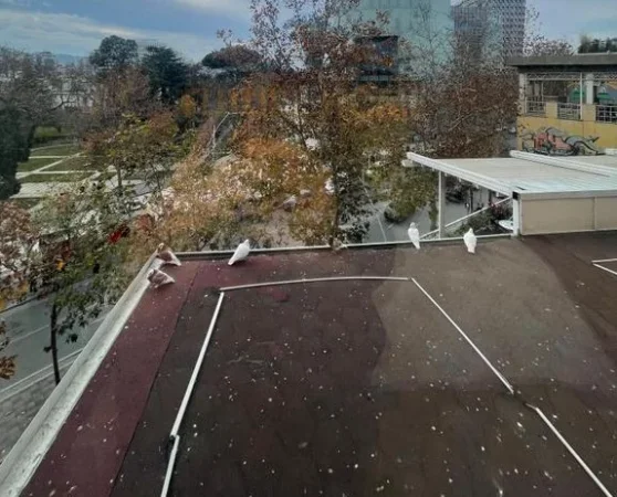 Tirane, jepet me qera apartament 2+1 Kati 3, 108 m² 1.000 € (Tirane)