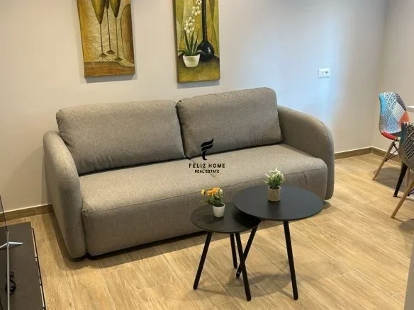 Tirane, jepet me qera apartament 1+1 Kati 2, 70 m² 550 € (RRUGA E ELBASANIT)