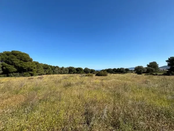 Tirane, shes toke , 920 m² 627.600 € (Rinas)