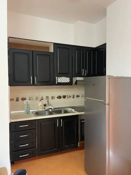 Tirane, jepet me qera apartament Kati 1, 65 m² 600 € (Rruga e Elbasanit)