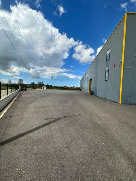 Shqiperi, jap me qera ambjent biznesi Kati 0, 4.800 m² 5.000 Euro (Tapize)