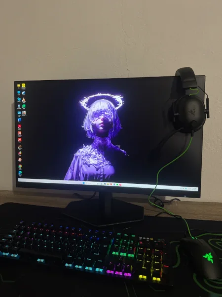 Shes Kompjuter+Monitor Gaming