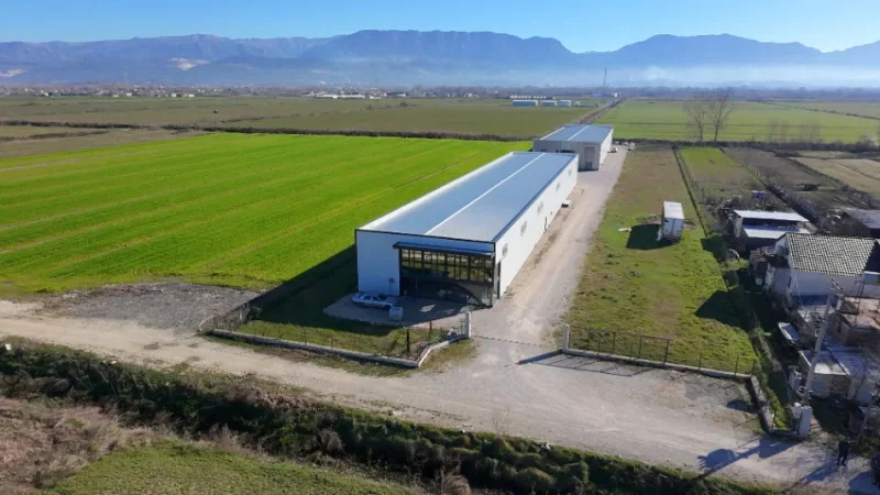 Fushe Preze, jepet me qera magazine Kapanon i ri, 1.200 m² 2790 € (Budull)