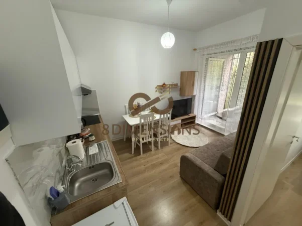 Tirane, jepet me qera apartament 1+1+Ballkon Kati 1, 40 m² 400 € (ali demi)