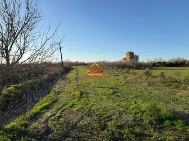 Vlore, shitet toke , 6.000 m² 40.000 € (Novoselë)