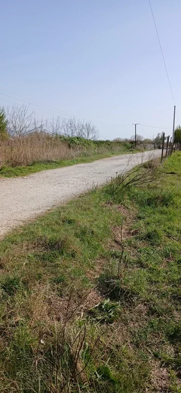 Shitet Toke Lezhë, Barbulloje